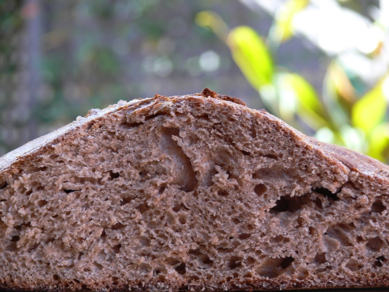 Pan de espelta con masa madre - El clan de los sin trigo